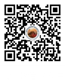 64bf7cbc22366.png